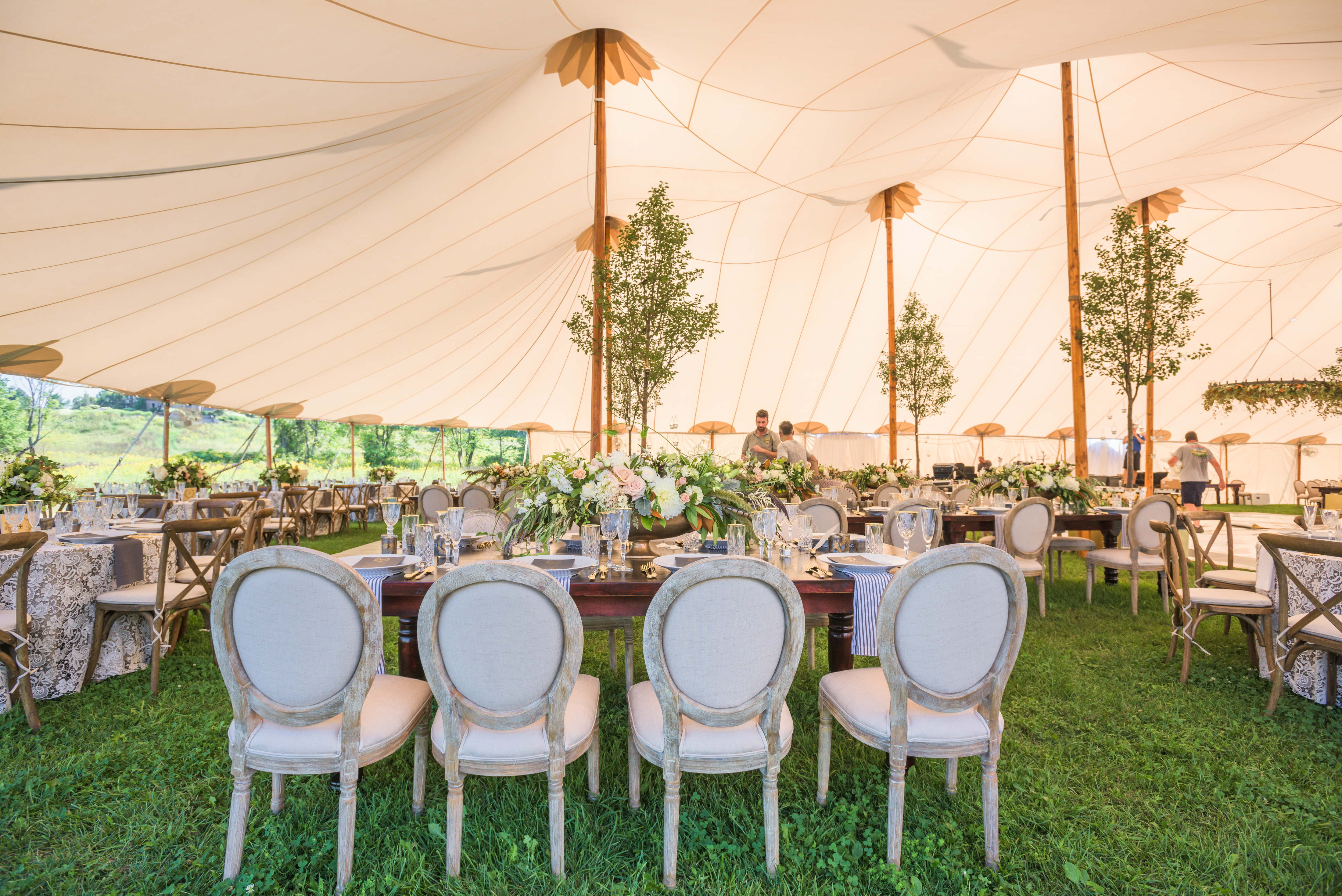 Louis Chair  Peerless Events and Tents