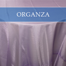 ORGANZA OVERLAYS