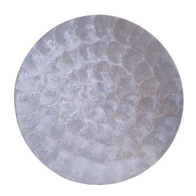PEARL SHELL CHARGER