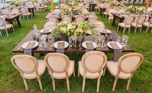 CHAIR & FURNITURE RENTALS