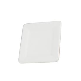 SMALL SQUARE APPETIZER PLATES